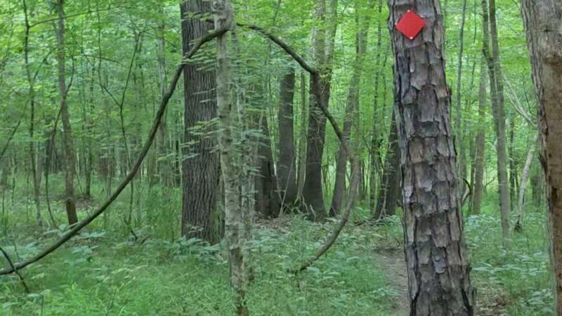 Caraway Creek Preserve - Asheboro, NC