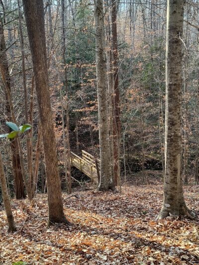 Caraway Creek Preserve - Asheboro, NC
