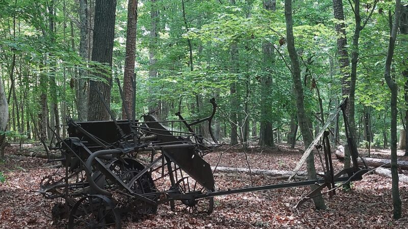 Caraway Creek Preserve - Asheboro, NC