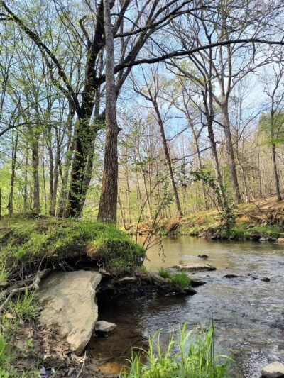 Caraway Creek Preserve - Asheboro, NC