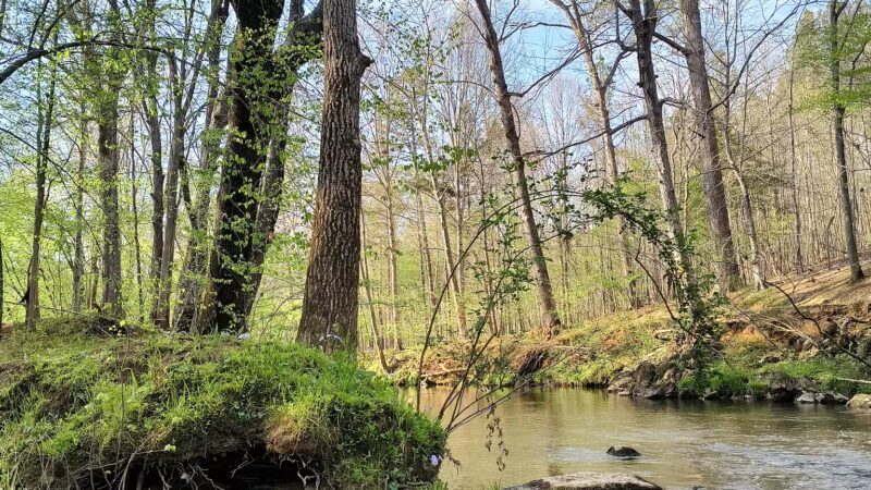 Caraway Creek Preserve - Asheboro, NC