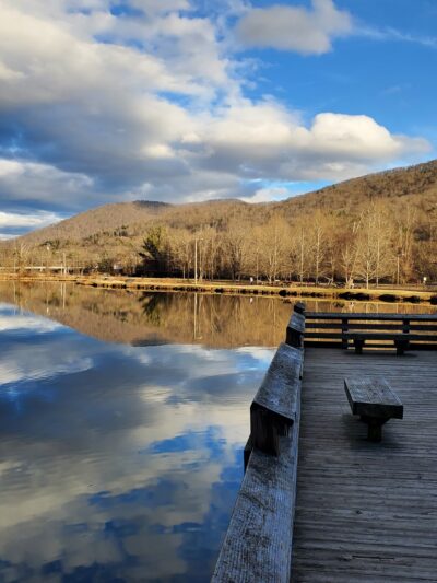 Azalea Park - Asheville, NC