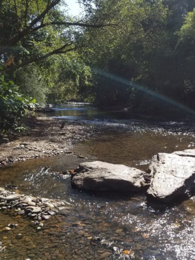 Azalea Park - Asheville, NC