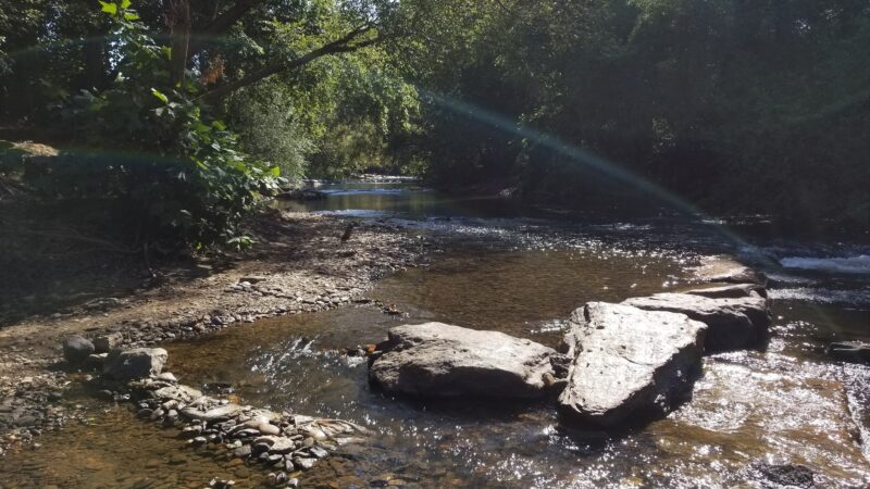 Azalea Park - Asheville, NC