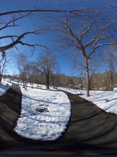 Dog Walk Park - Asheville, NC
