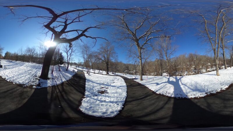 Dog Walk Park - Asheville, NC