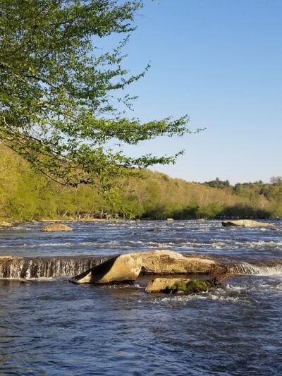 French Broad River Dog Park - Asheville, NC