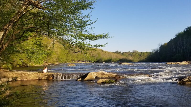 French Broad River Dog Park - Asheville, NC