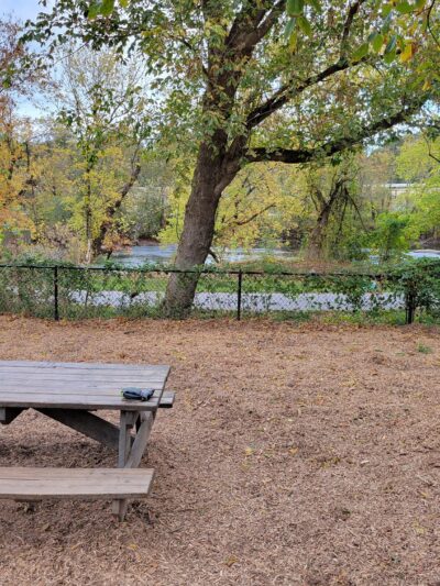 French Broad River Dog Park - Asheville, NC