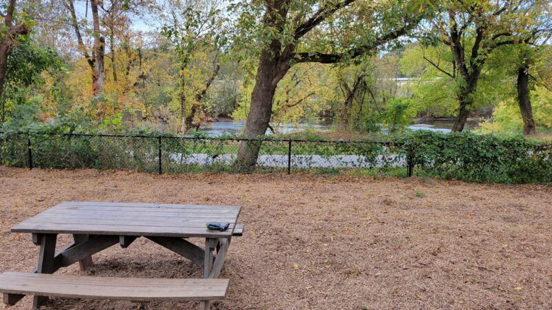 French Broad River Dog Park - Asheville, NC
