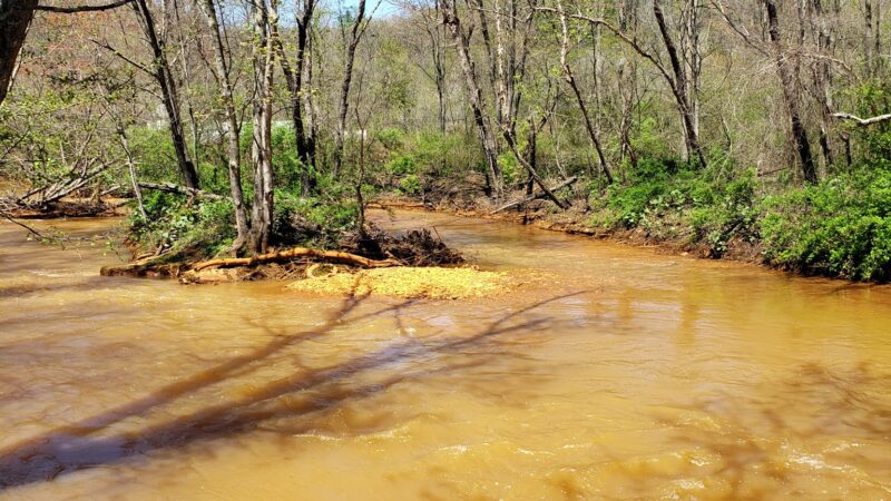 Bolich Wetland Project And Senator James J. Rhodes Nature Trail - Ashland, PA