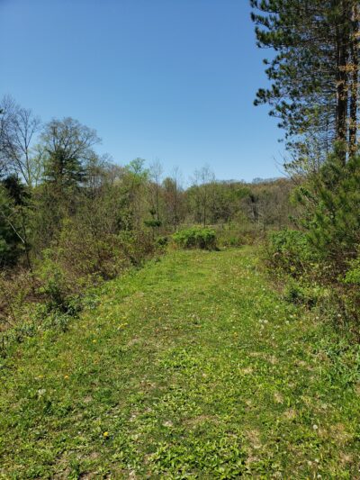 Bolich Wetland Project And Senator James J. Rhodes Nature Trail - Ashland, PA
