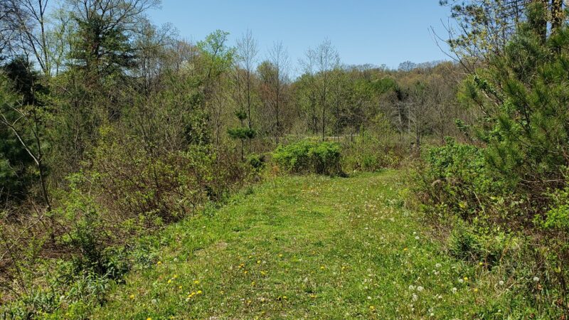 Bolich Wetland Project And Senator James J. Rhodes Nature Trail - Ashland, PA