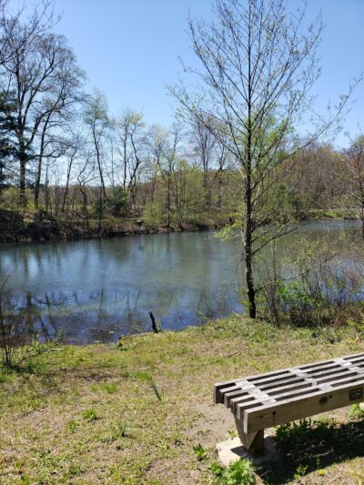 Bolich Wetland Project And Senator James J. Rhodes Nature Trail - Ashland, PA