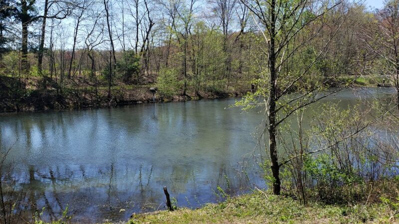 Bolich Wetland Project And Senator James J. Rhodes Nature Trail - Ashland, PA