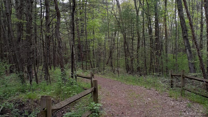 Bolich Wetland Project And Senator James J. Rhodes Nature Trail - Ashland, PA