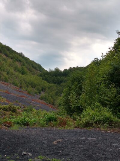 Willow Park - Ashland, PA