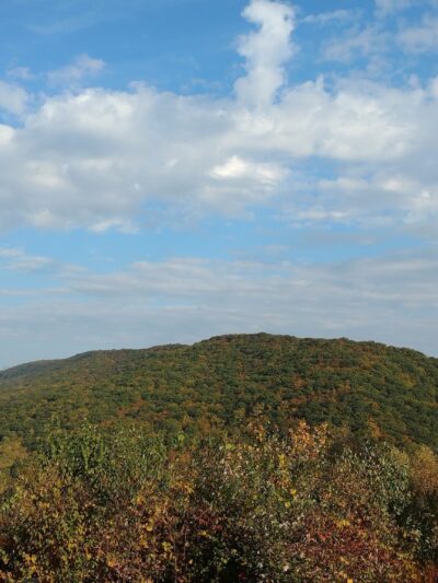 Willow Park - Ashland, PA