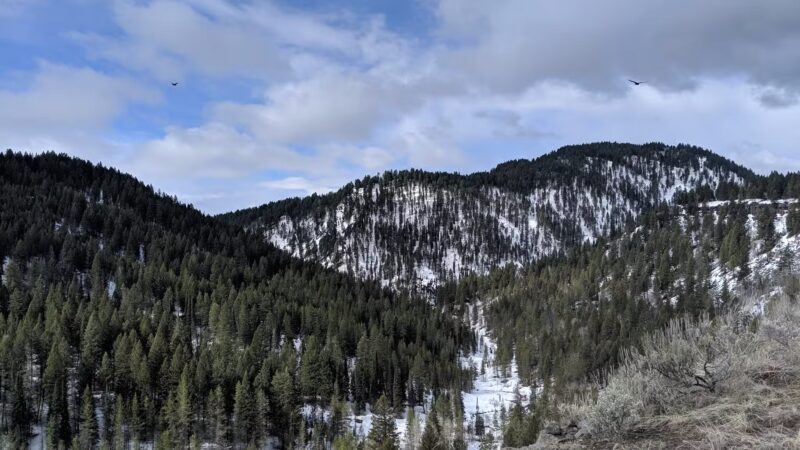 Mesa Falls Scenic Byway - Ashton, ID