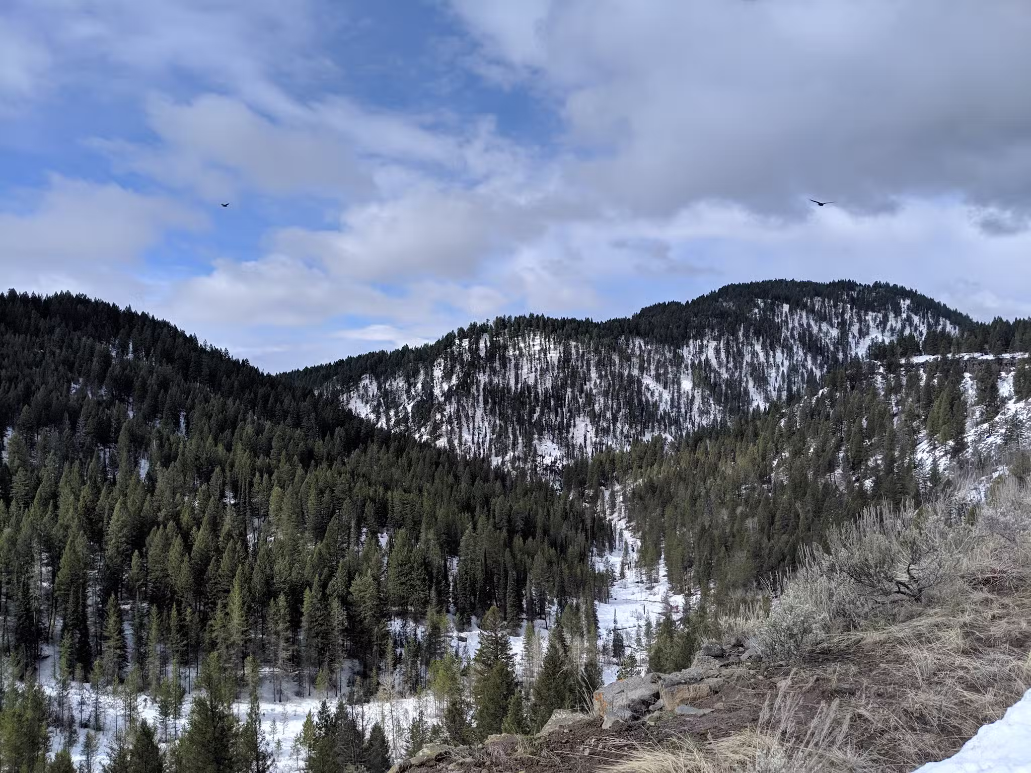 Mesa Falls Scenic Byway - Ashton, ID