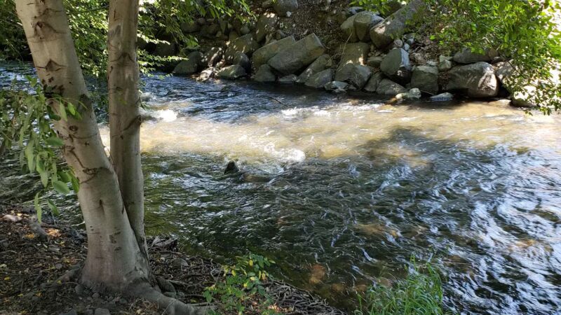 Asotin City Park - Asotin, WA