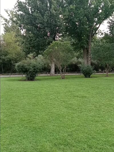 Asotin City Park - Asotin, WA