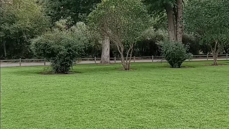 Asotin City Park - Asotin, WA