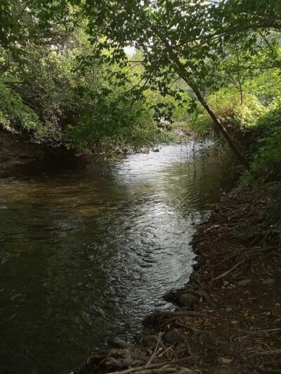 Asotin City Park - Asotin, WA