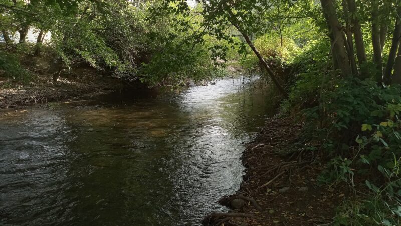 Asotin City Park - Asotin, WA