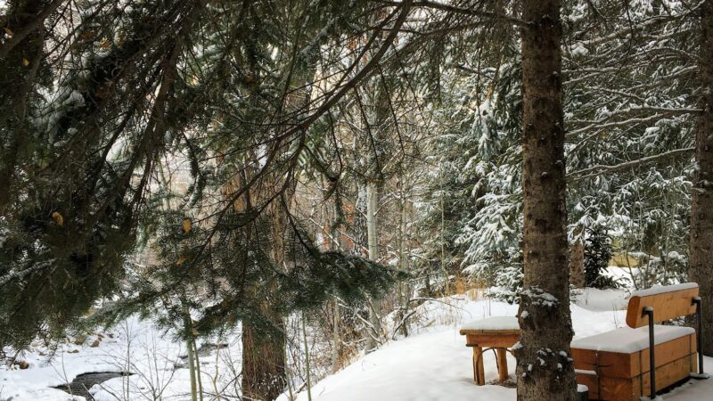Freddie Fisher Park - Aspen, CO