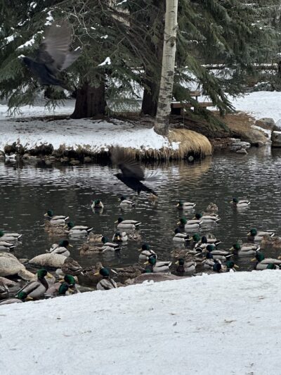 Glory Hole Park - Aspen, CO