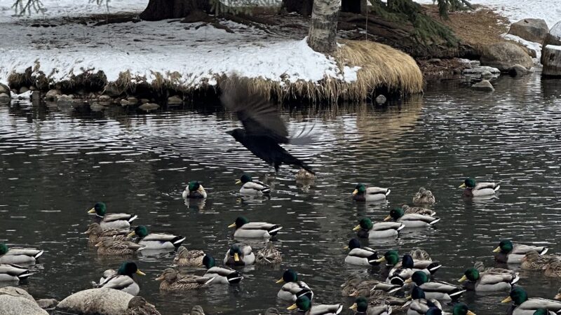 Glory Hole Park - Aspen, CO