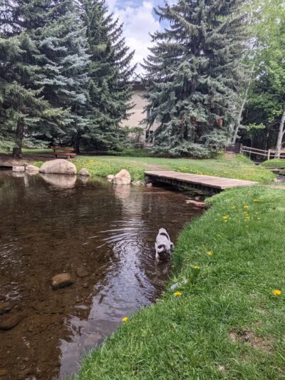 Glory Hole Park - Aspen, CO
