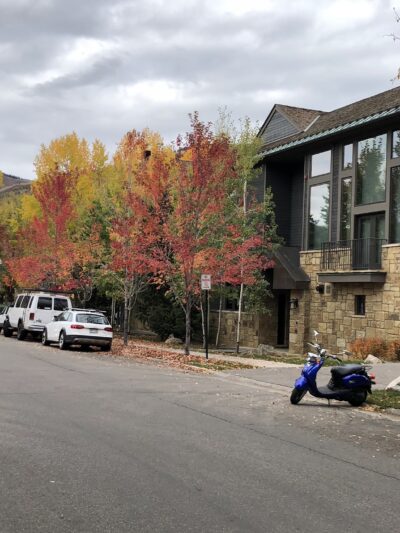 Glory Hole Park - Aspen, CO