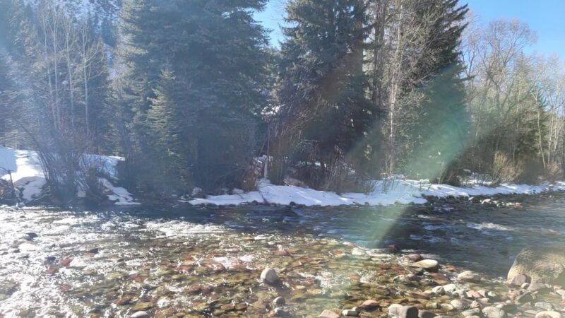 Henry Stein Park - Aspen, CO