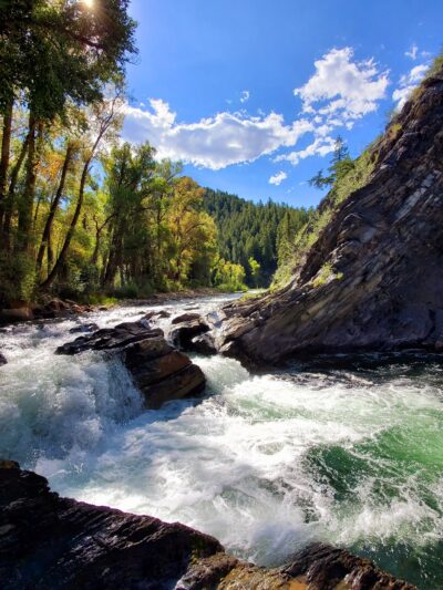 Henry Stein Park - Aspen, CO