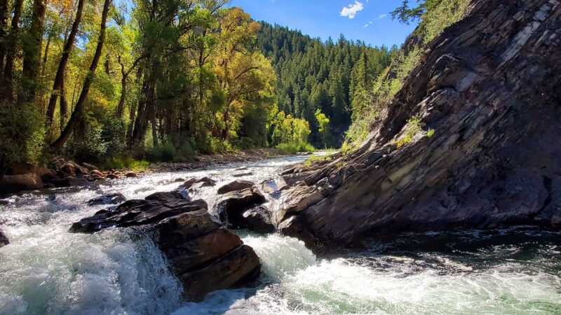 Henry Stein Park - Aspen, CO