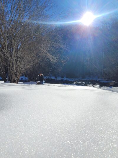 Henry Stein Park - Aspen, CO