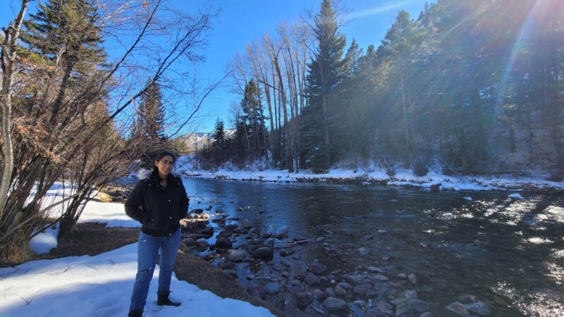 Henry Stein Park - Aspen, CO
