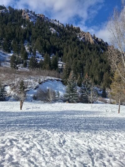 Koch Park - Aspen, CO