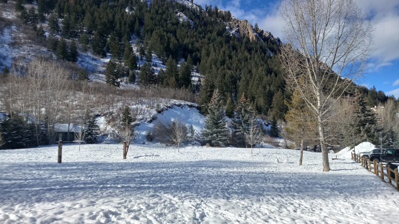 Koch Park - Aspen, CO