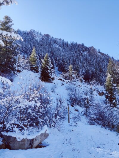 Koch Park - Aspen, CO