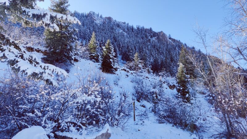Koch Park - Aspen, CO