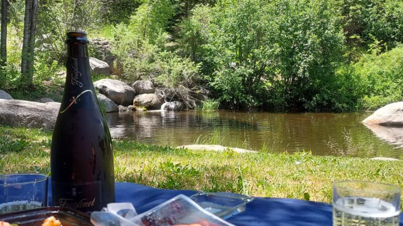 Snyder Park - Aspen, CO