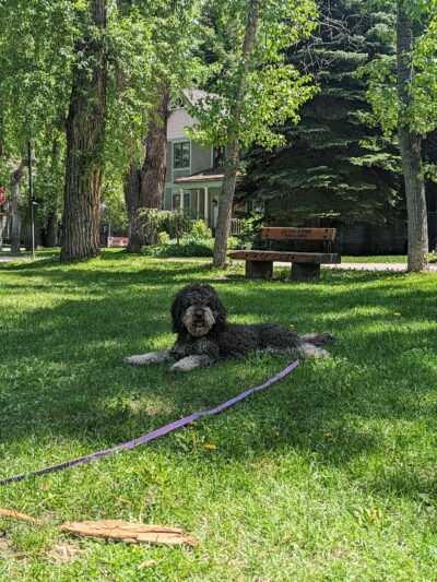 Triangle Park - Aspen, CO