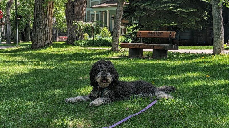 Triangle Park - Aspen, CO