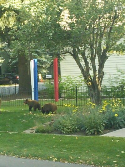 Triangle Park - Aspen, CO