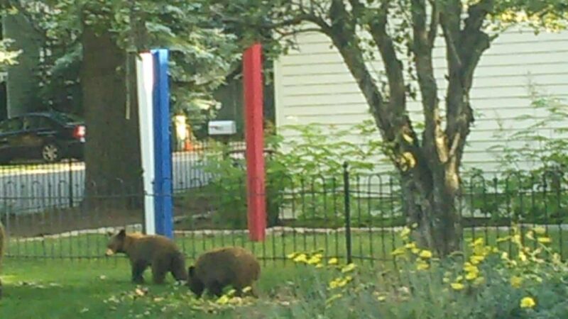 Triangle Park - Aspen, CO