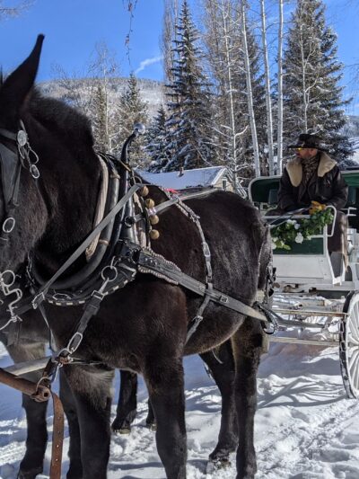 Triangle Park - Aspen, CO