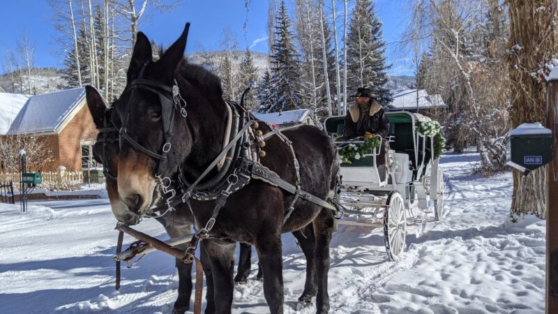 Triangle Park - Aspen, CO